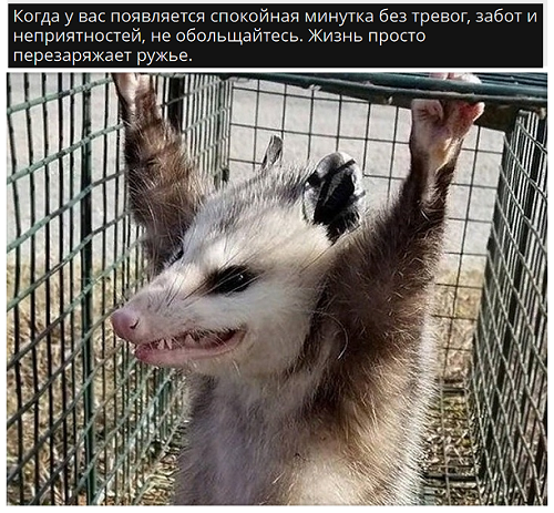 13073654.png