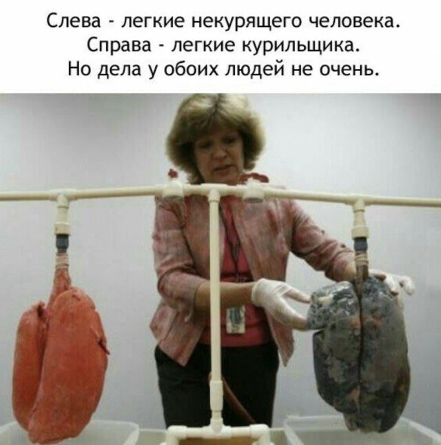 Картинки разные нужны, картинки всякие важны