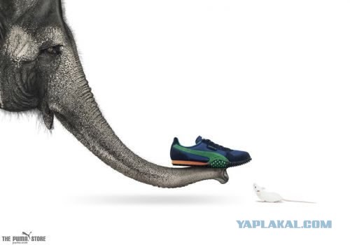 Креативная реклама от Puma