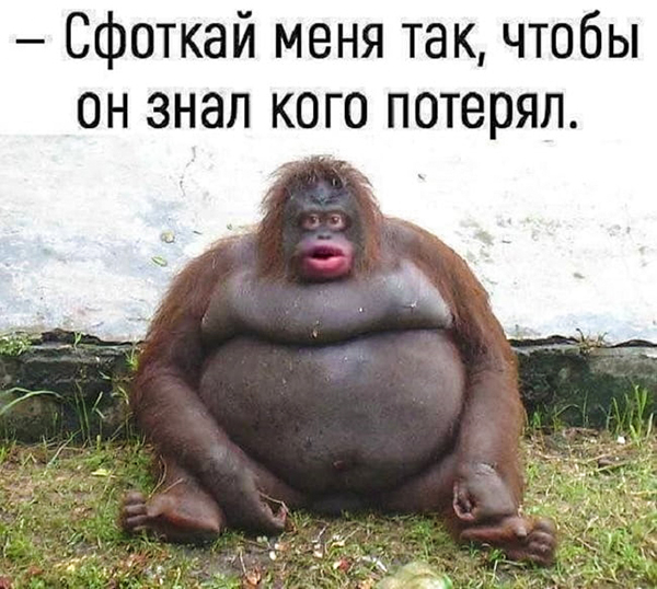 Королевы сельского гламура