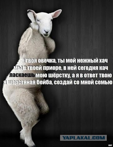 Зачем читать? Раз красный, надо брать!