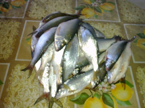 Салака маринованная