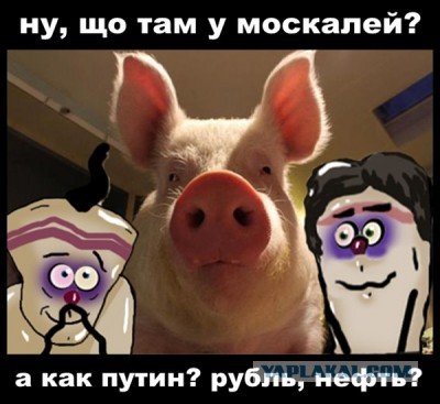 «А это кто? Спецподразделение по избиению студентов и женщин на мирных митингах?»