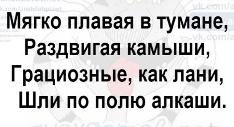 Мужчины научились жить одни. Женщин это сильно злит