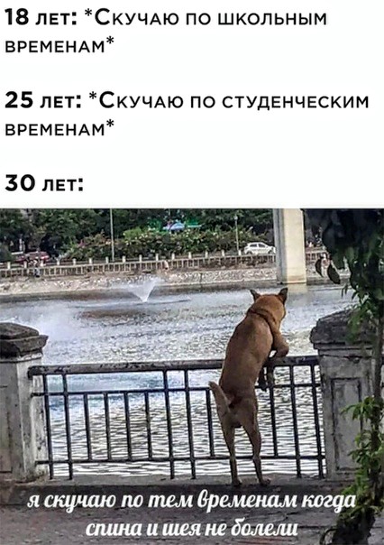 Немного картинок для настроения 19.08.20