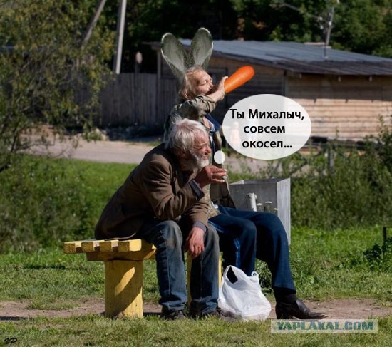 Хорошо сидим