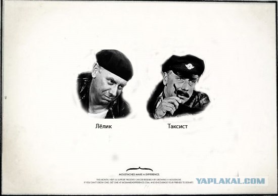 Усы творят чудеса!