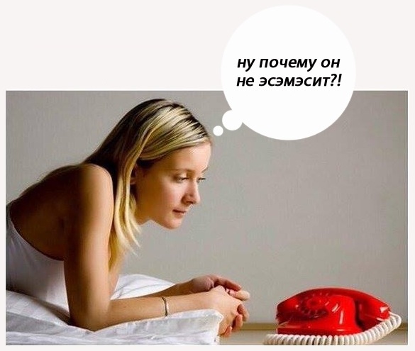 Вечерний выпуск