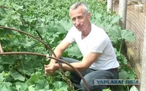 Весна пришла, ходим как по минному полю..