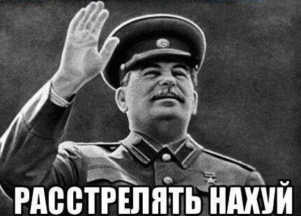 В Новгородской области повесили баннер со Сталиным, «наблюдающим» за министром ЖКХ