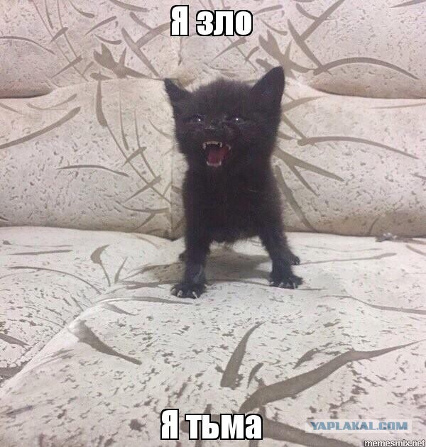 Злой маленький пушистик