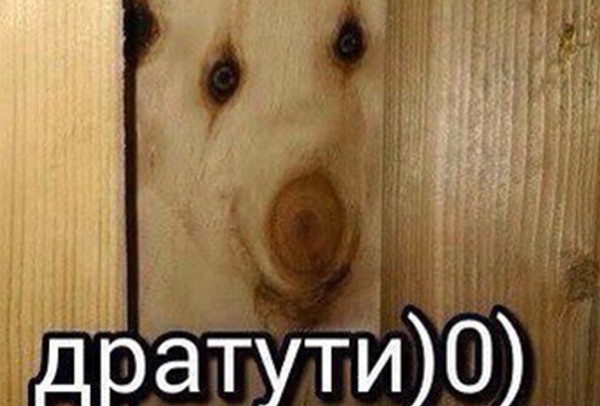 Вoпрос к специaлистам