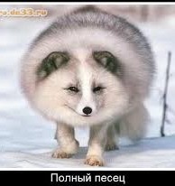 Пандемия. Коронавирус. Россия и мир. Часть 30.