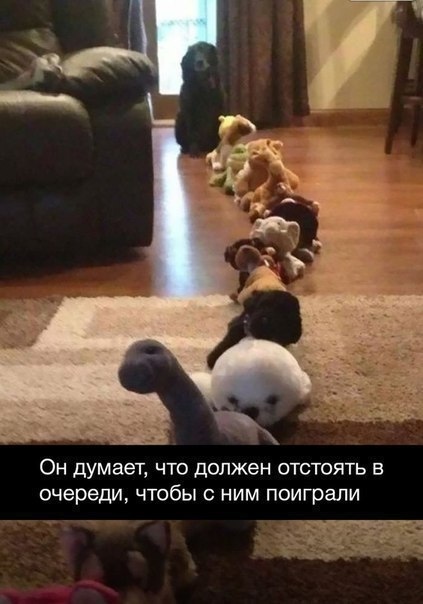 Так себе картинки 31.03.22