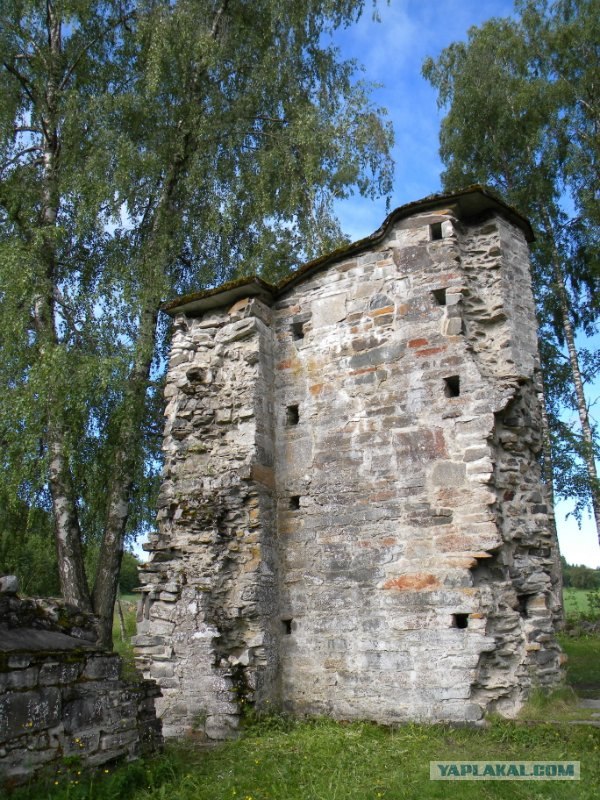 Мы и Тыгра. S.T.A.L.K.E.R.ы, через 12 стран