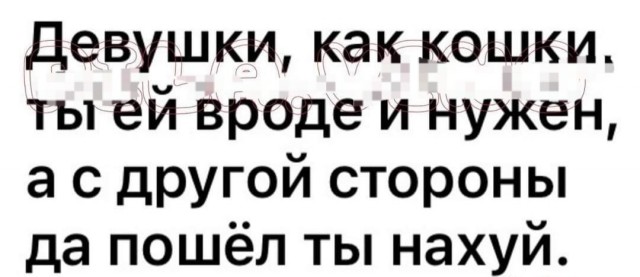 Так себе картинки 08.04.22