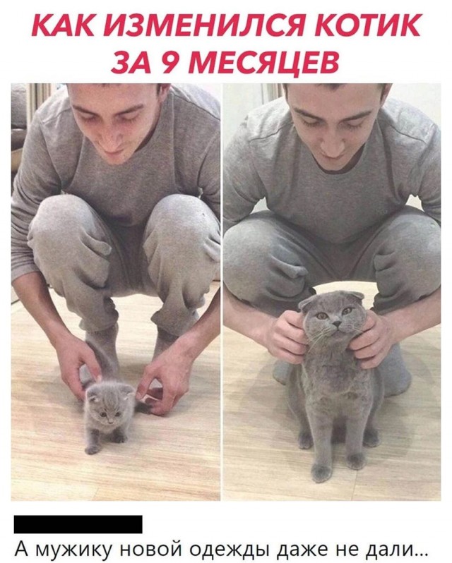 Немного картинок и прочей хреноты Vol. 11