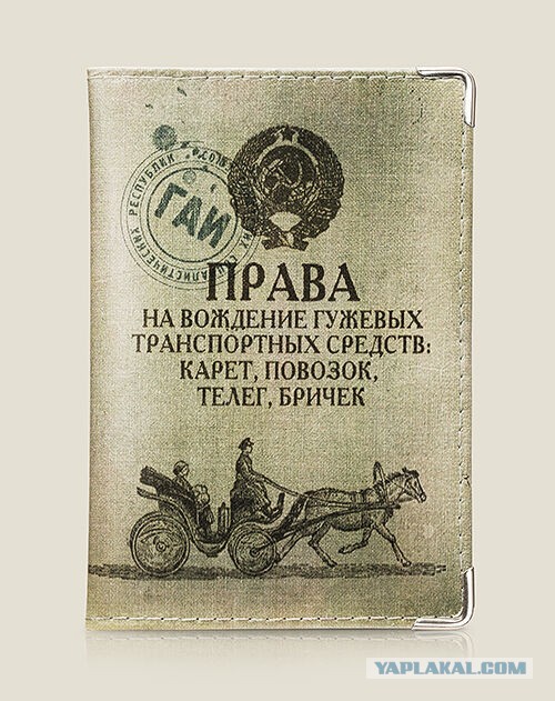 Редкие кадры и архивные снимки 29.06.2022