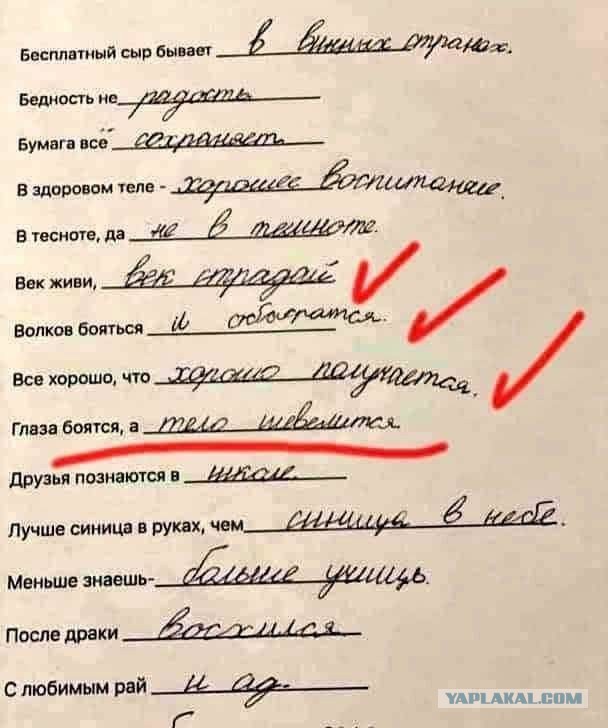 Немного забавных картинок