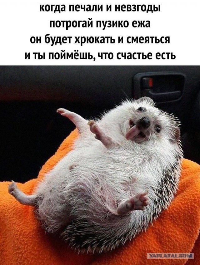 Картинки разные на злобу дня и на доброту