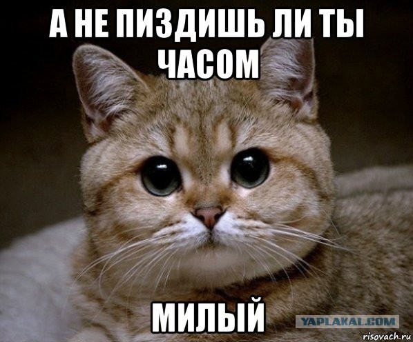 Срочно требуется помощь ЯП-экспертов по отоплению!