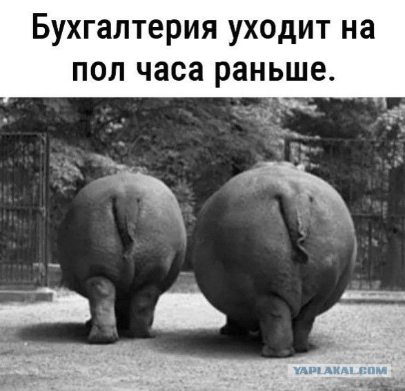 Офисные работницы и соблазнительницы