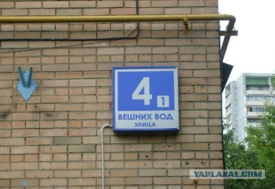 Улица Лунных Кошек