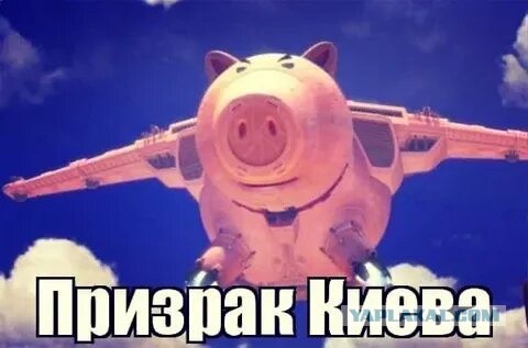 В соцсетях расходятся кадры подбитой натовской техники.