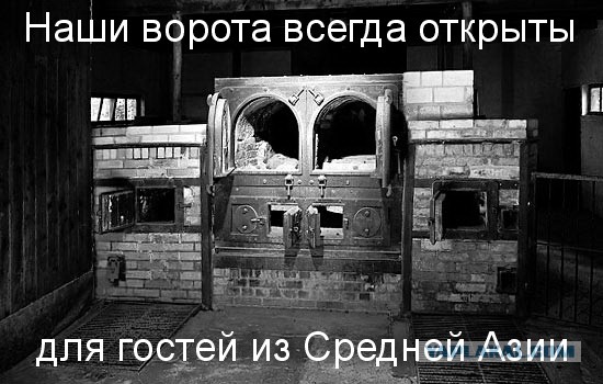 А дорогу покажешь?