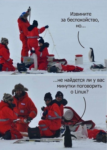 Бояны 8-ми летней выдержки