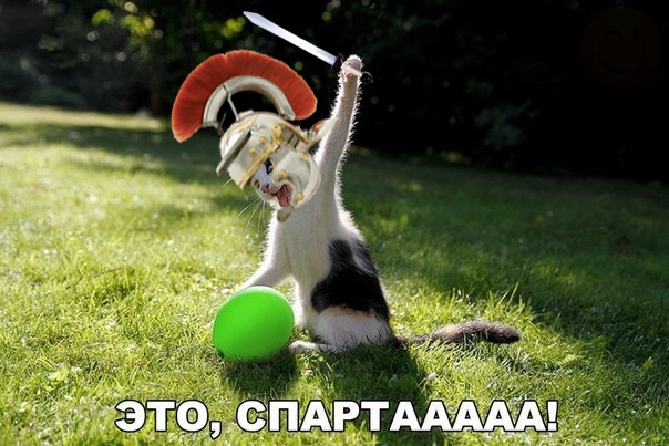 Так себе картинки 21.04.24