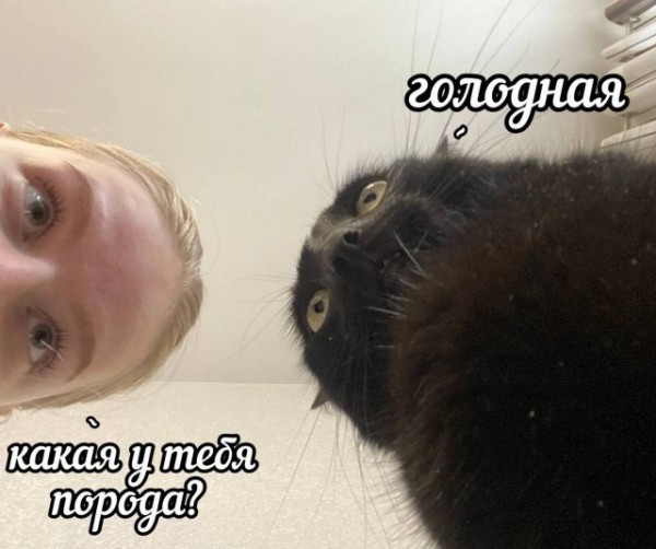 Так себе картинки 28.07.24