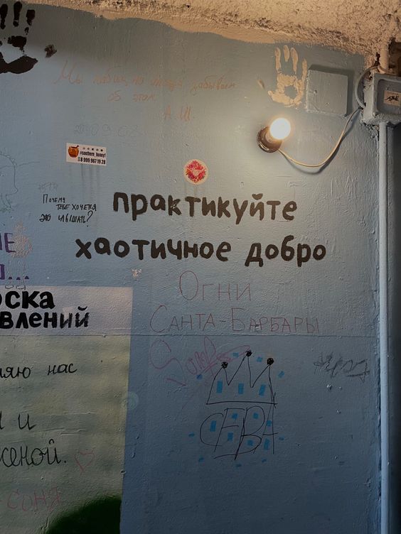 Прикольные и просто красивые картинки 16.08.2024