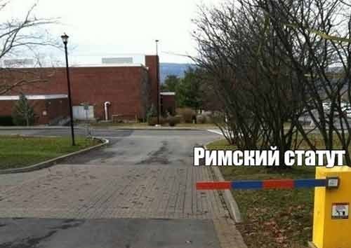 Веселые картинки на пятницу (15.11)