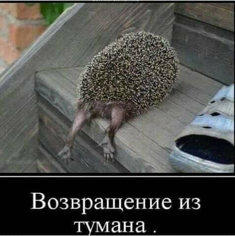 Завалялось тут случайно немного забавных картинок