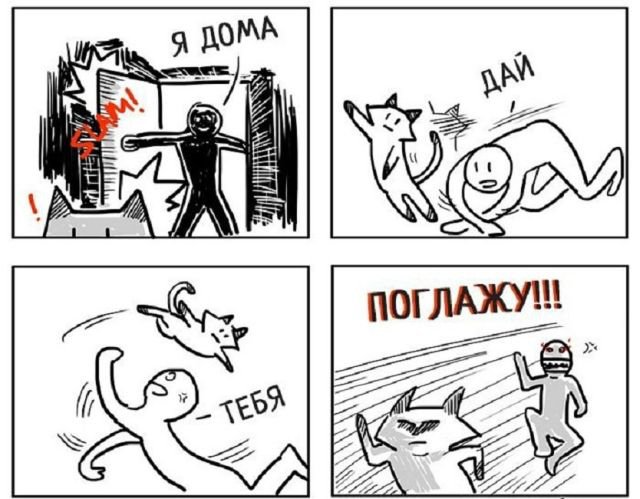 К котовторнику: подборка картинок-баянов с котиками и про котиков. Выпуск 5