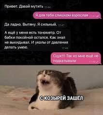 Веселые картинки в понедельник (14.04)