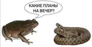 На питбайке налетел на ловушку
