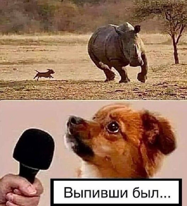 Картинки для деградации 18 (разной степени свежести)