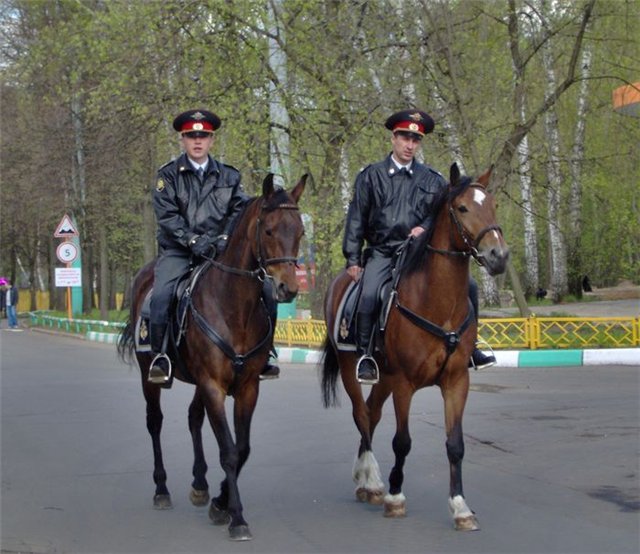 Зумерам показали часы со стрелками