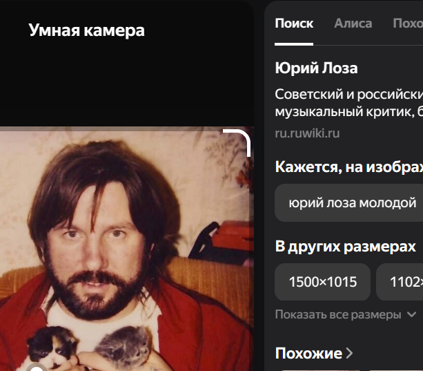 Котиков любят все.