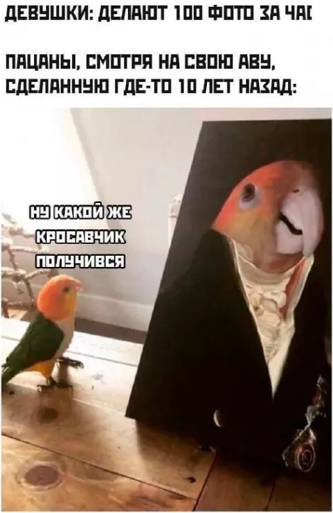Картиночки, баянчики 24 марта