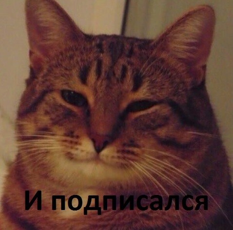 Попалась забавная реклама в Телеграм