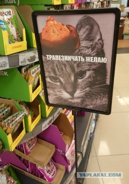 В котовторник.