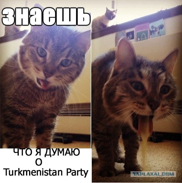 Закрытая вечеринка для студентов из Туркменистана