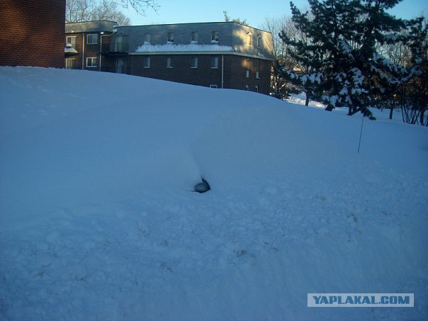 Деревенская Америка