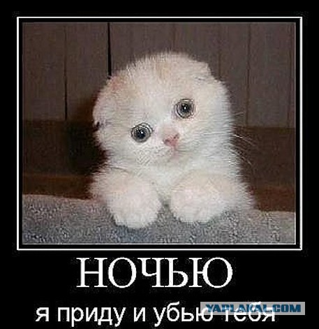 Когда мужчина живёт один