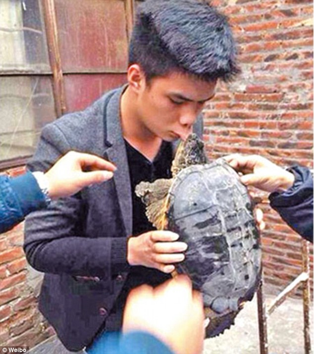 Не целуйте черепах!