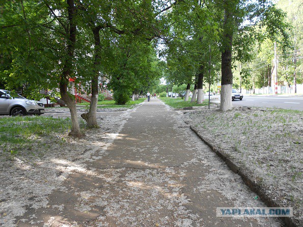 Красавец Нижний Новгород