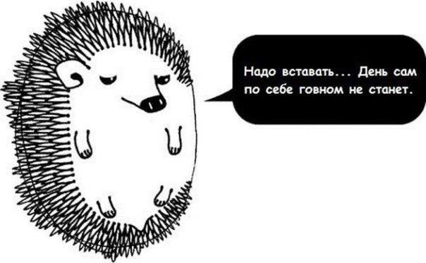 Позитивные картинки